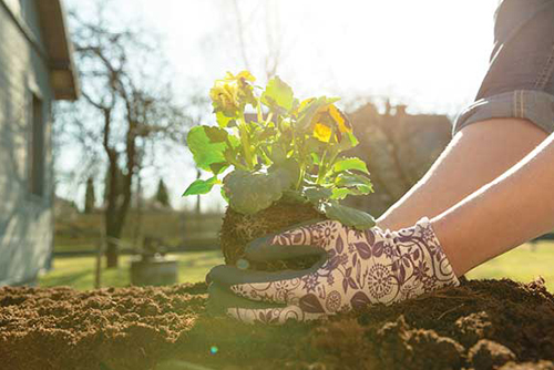 managing climate risk